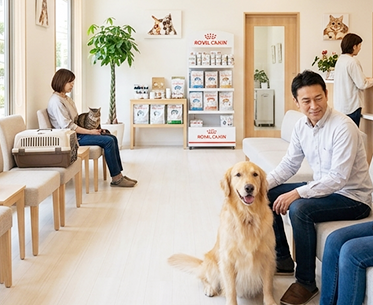 情報公開